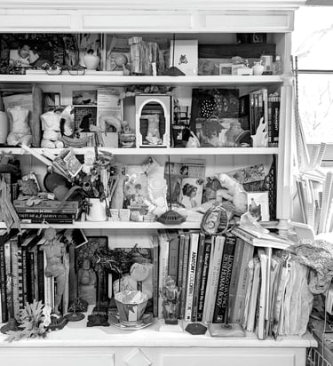 Bookshelves in the studio of Clea Carlsen filled with parts, pieces, found objects and other items collected by the artist.
