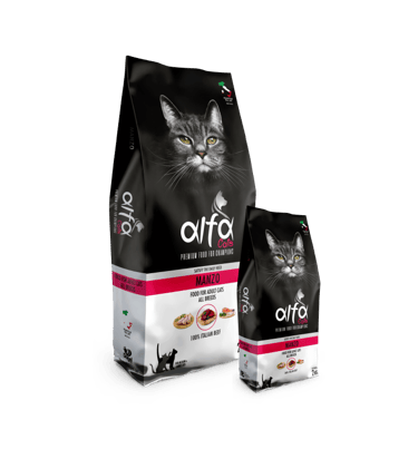 Alfa Cats Manzo