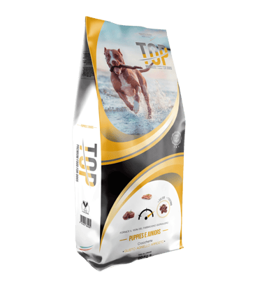 Top Puppies & Juniors