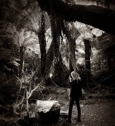 The Australian Journey - rainforest 28, 2024 ©Regina Anzenberger