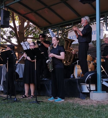 Hannah Wolkowitz Performing with Klezundheit!