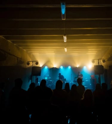 Lietuvos muzikos ir teatro akademijos studentų atstovybės renginys. Nuotr. J. Satkūnaitė