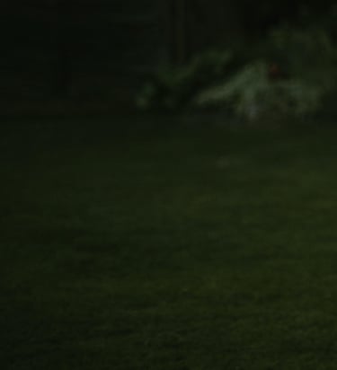 labai tamsios žalios spalvos fonas