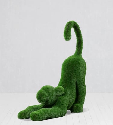 turn baby lion for events in Parkland