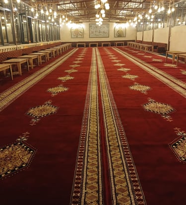 Aslan Sıra Gecesi | Urfa Sıra Gecesi | 05370362063