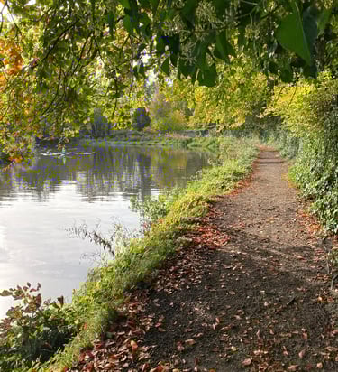 Counselling and psychotherapy services in Rickmansworth, in person and online, individuals & couples