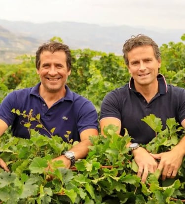 Gunther e Klaus Di Giovanna, vino biologico Sicilia. DOC Contessa Entellina DOC Sambuca di Sicilia