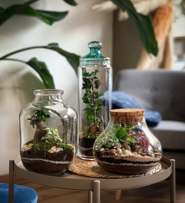 une table avec un bocal de plantes en verre 