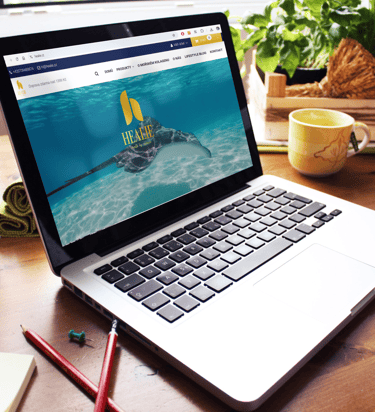 e-shop pro prodejce kolagenu