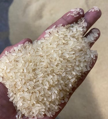 ir64 parboiled rice non basmati export