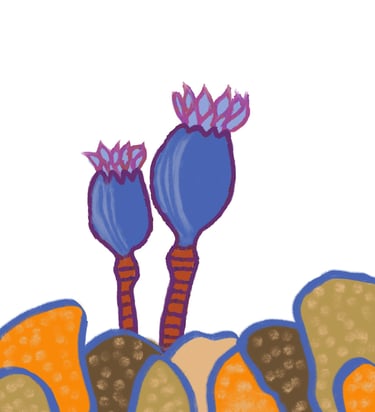 Aesthetic floral watercolor wall art australia