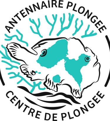 Logo antennaire plongee voyage france guadeloupe