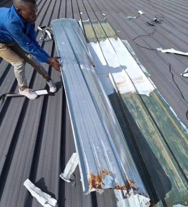 Inspection of heavily compromised area on IBR  roof structure, Lonehill, Fourways