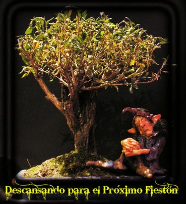 duendes-after-eddyscap