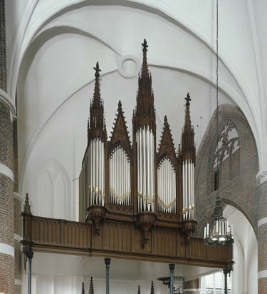 orgel Steenwijk Kleine Kerk, concert Annerieke van den Broek