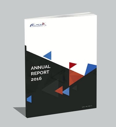 Report Annuel France IX