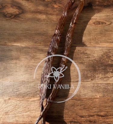 Vanilla beans uganda