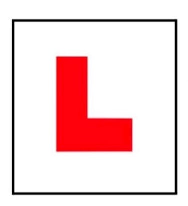 Smile&Drive Female Instructor 