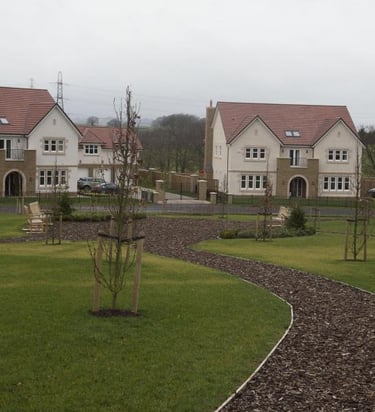 Thorntonhall Roof Cleaning