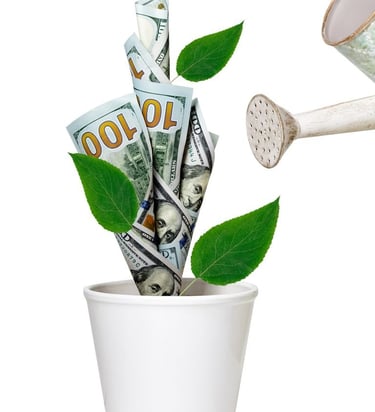 Wirtschaftlichkeit - das Geldbäumchen kann auf vielerlei Weisen wachsen