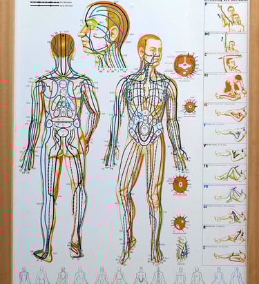 Les méridiens du Zen Shiatsu