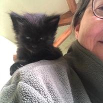 a woman in glasses and a gray sweater