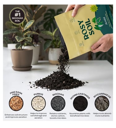 Aroid potting mix by Rosy Soil for indoor plants designed for drainage airflow