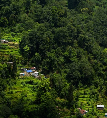 A mountain-cape with some cottages nesting.