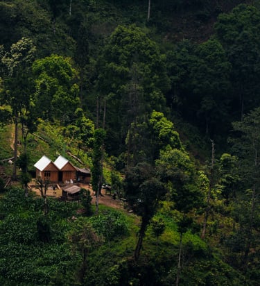 A mountain scape with two cottages nesting on it. 