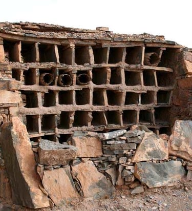 APICULTURE TRADITIONNELLE ET PATRIMOINE LE MAROC