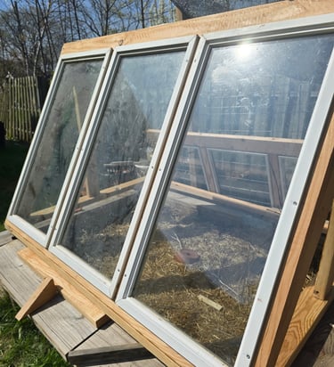 A homemade wooden cold frame garden box with glass windows for seed starting and plant protection.