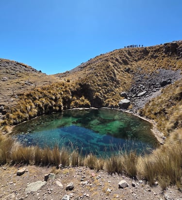 Otorongo Cocha Ausangate National Park