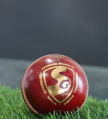 SG cricket ball