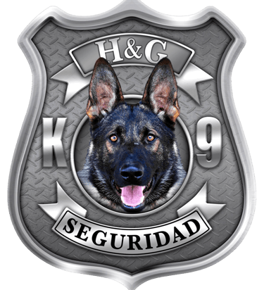 Logo K9 Seguridad Capacitaciones