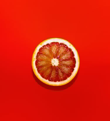 Fractional Marketing offer