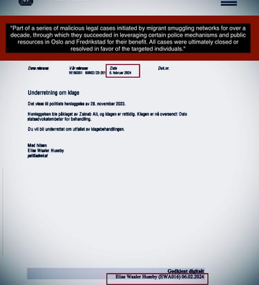 Zainab Abdulkarim Ali, Retaliatory lawsuits by Zainab Ali in Oslo Norway