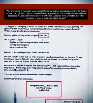 Retaliatory lawsuits by Zainab Ali, Elise Waaler Huseby and Emilie Austrheim Askestad