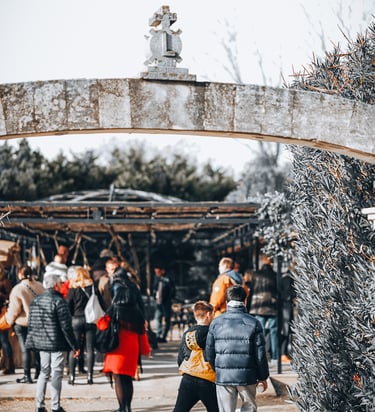 a group of people walking through a park