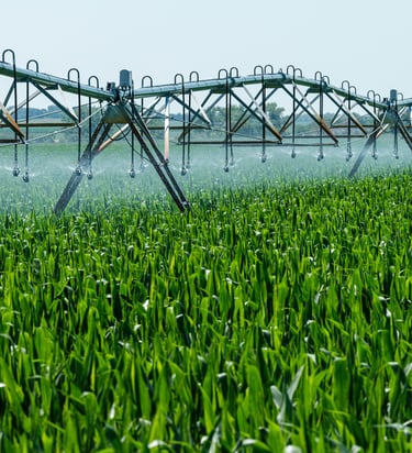 Irrigation system