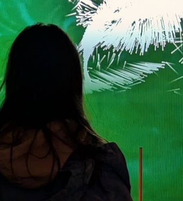 Doors Open Toronto 2025 - Interactive Visual Installation by Hessam Jafari