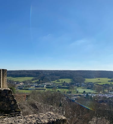 Vallée de Chevreuse vue du château de la Madeleine