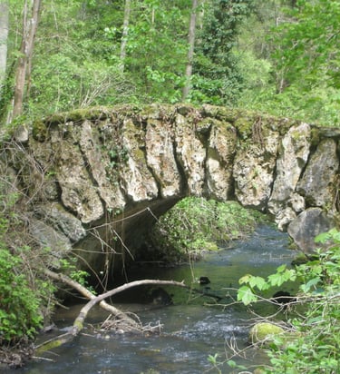 Pont en pierre forêt de Magny-les-Hameaux