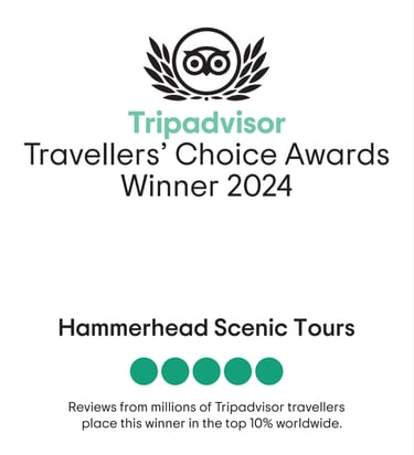 2024 TripAdvisot-Travellers Choice Award Winner 2024