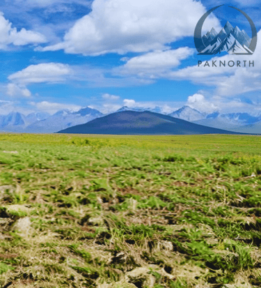 Deosai meadow with a mountain in the background