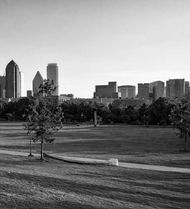 park in dallas on william mccleary portfolio