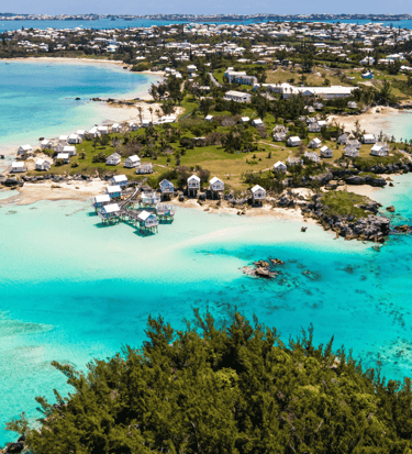 beautiful bermuda westend