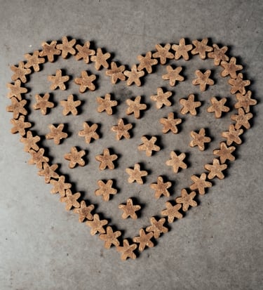 DOGGO természetes kutyarágó – prémium fogtisztító kutyáknak