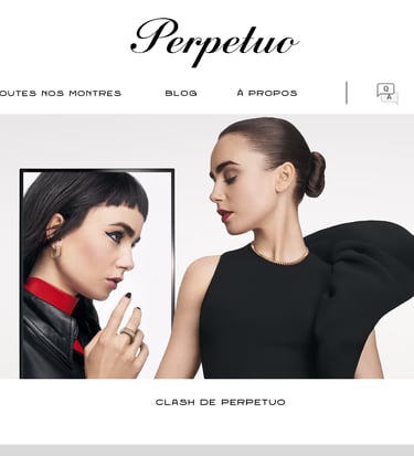 Maquette Web Perpetuo