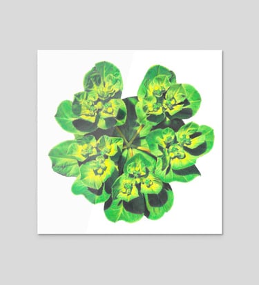 Green flower sticker