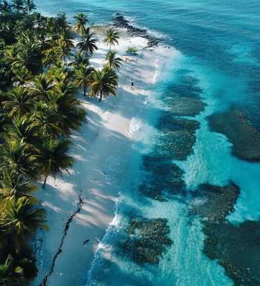 a beach with palm trees and a blue sky